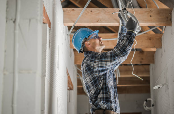 Best Electric Panel Repair  in Toulon, IL